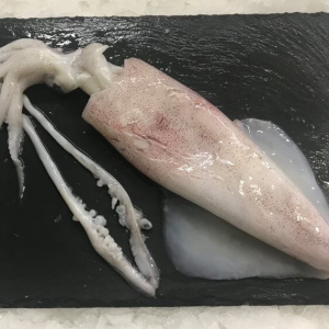 Encornet