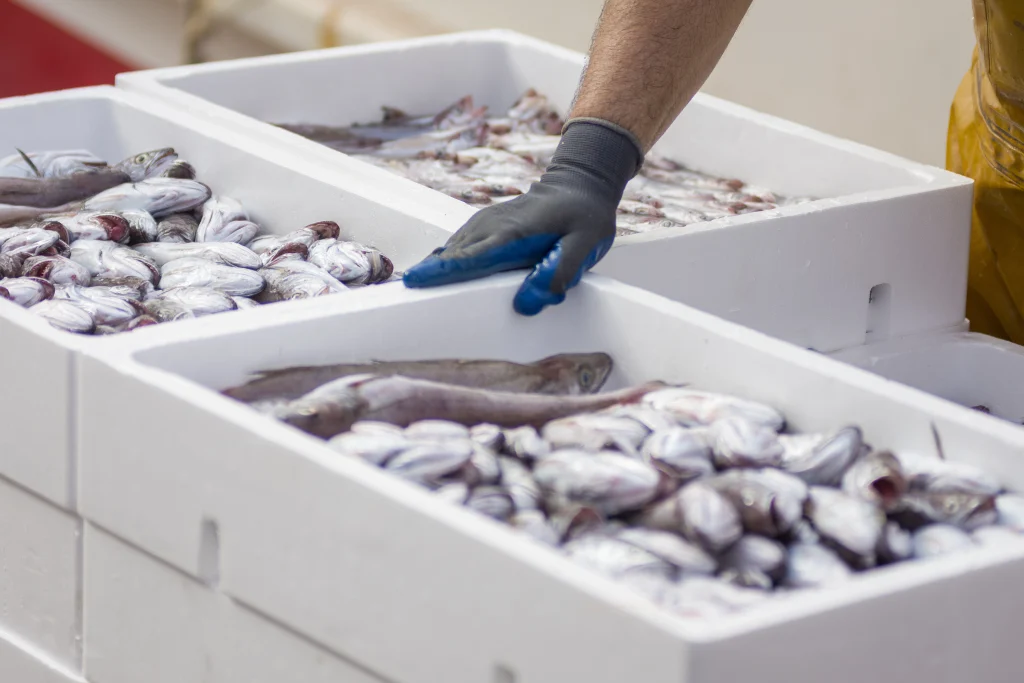 poisson frais en livraison